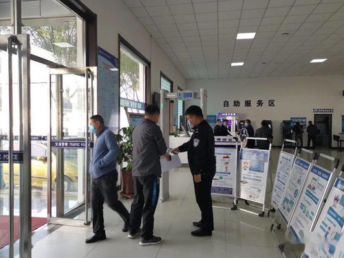 牌通北京车牌代办全流程解析：老司机教你避开这7大坑